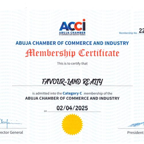 A Potential Investor